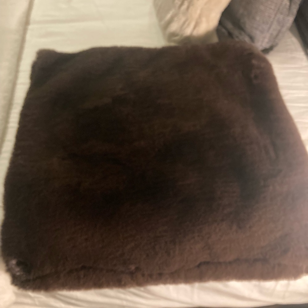 Pottery Barn mink pillow cover